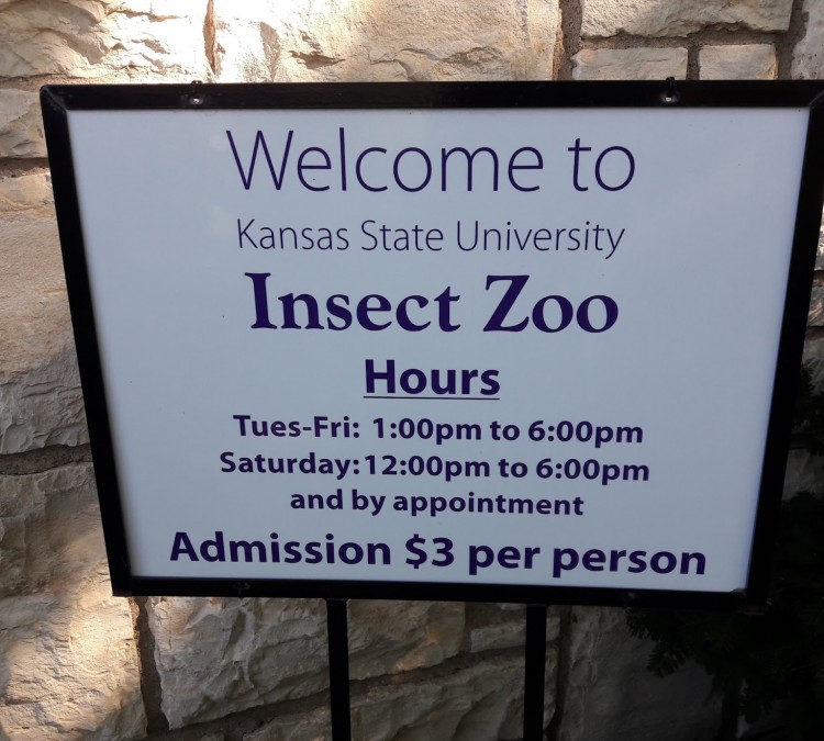 k-state-insect-zoo-photo